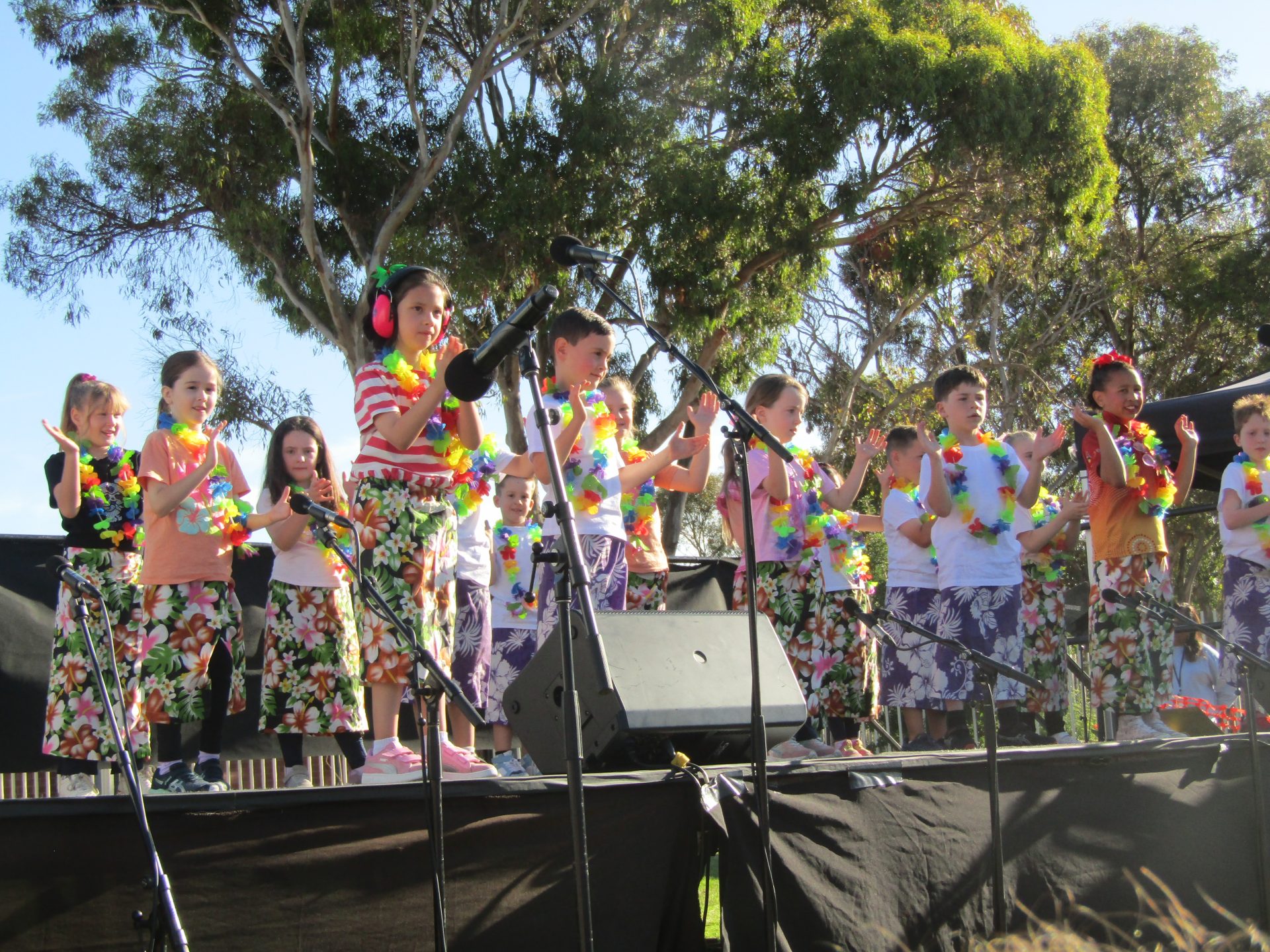 A photograph from the end of year concert