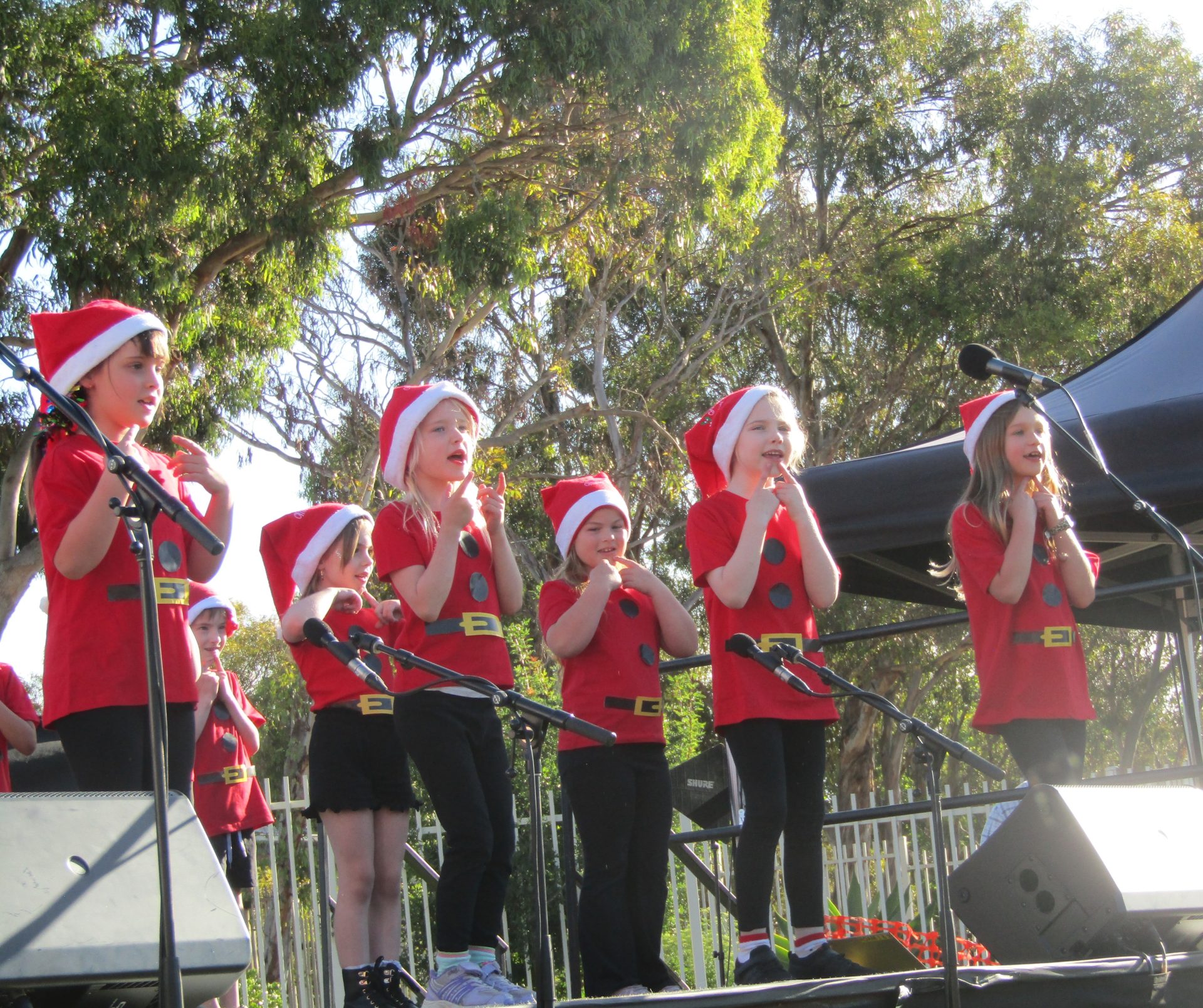 A photograph from the end of year concert
