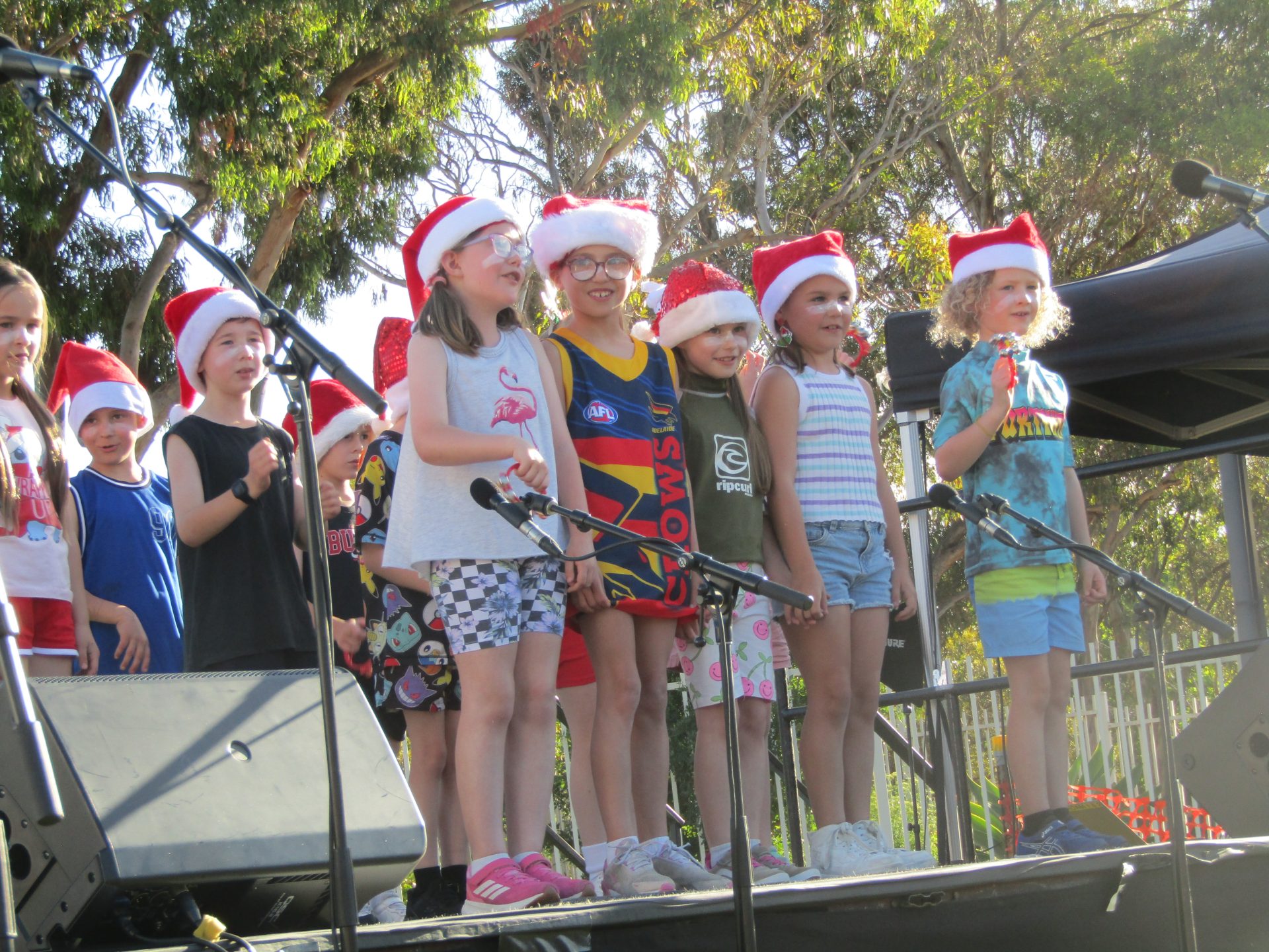 A photograph from the end of year concert