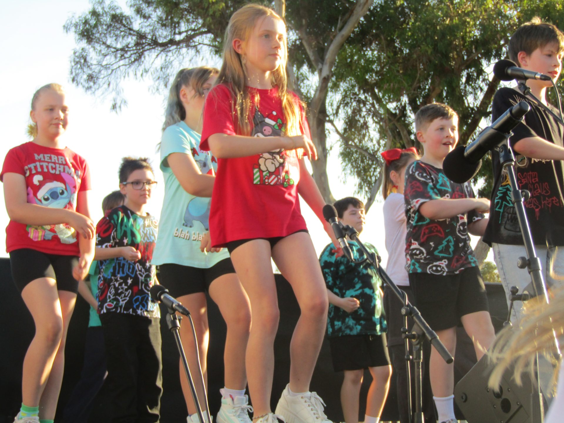 A photograph from the end of year concert